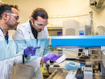 Inicio Mineral Assay